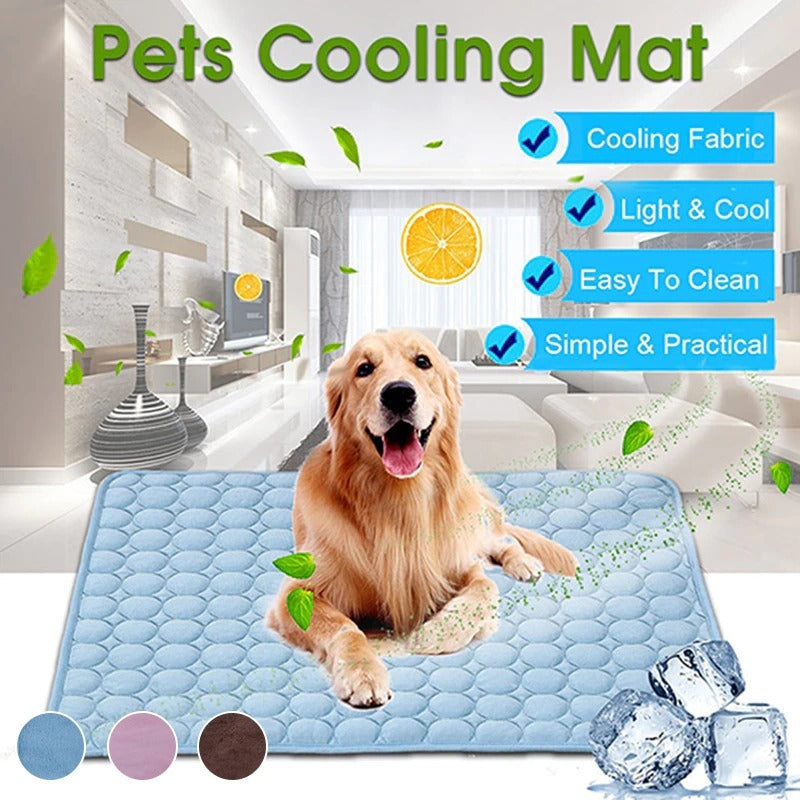 Cooling Mats for Dogs in Summer