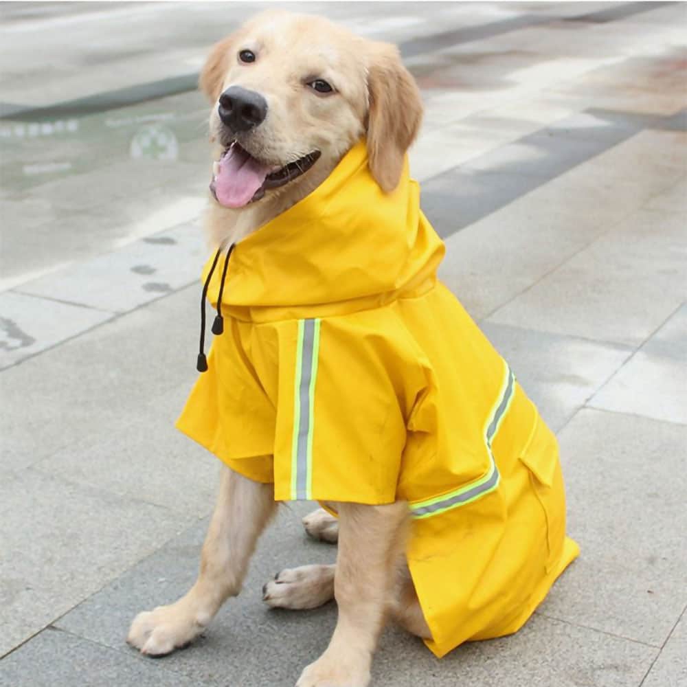 Dog Raincoats