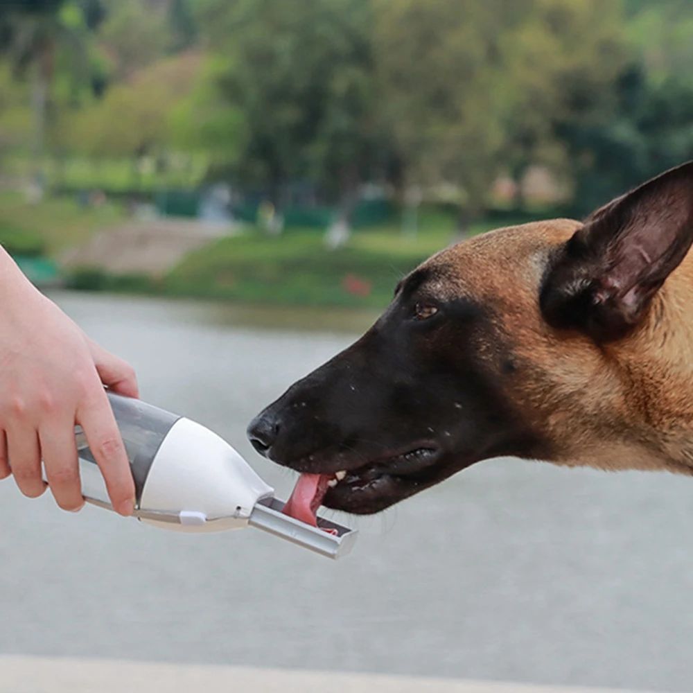Portable Dog Water Bottles
