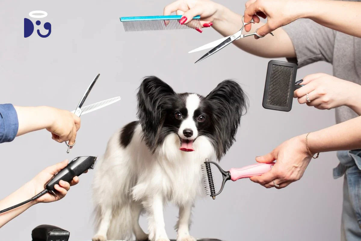 Dog Grooming Kits for Beginners