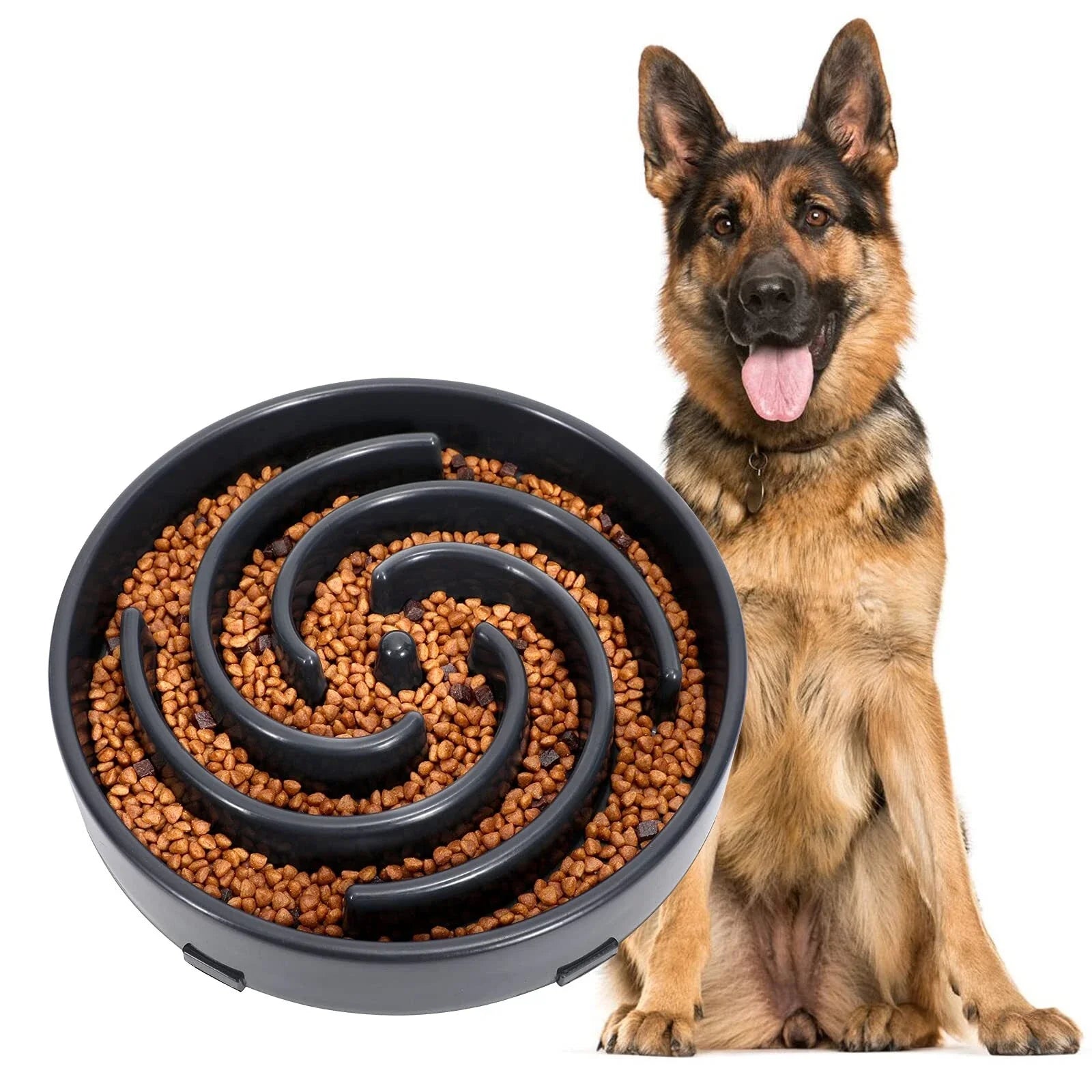 Best Slow Feeder Bowl for Large Dogs