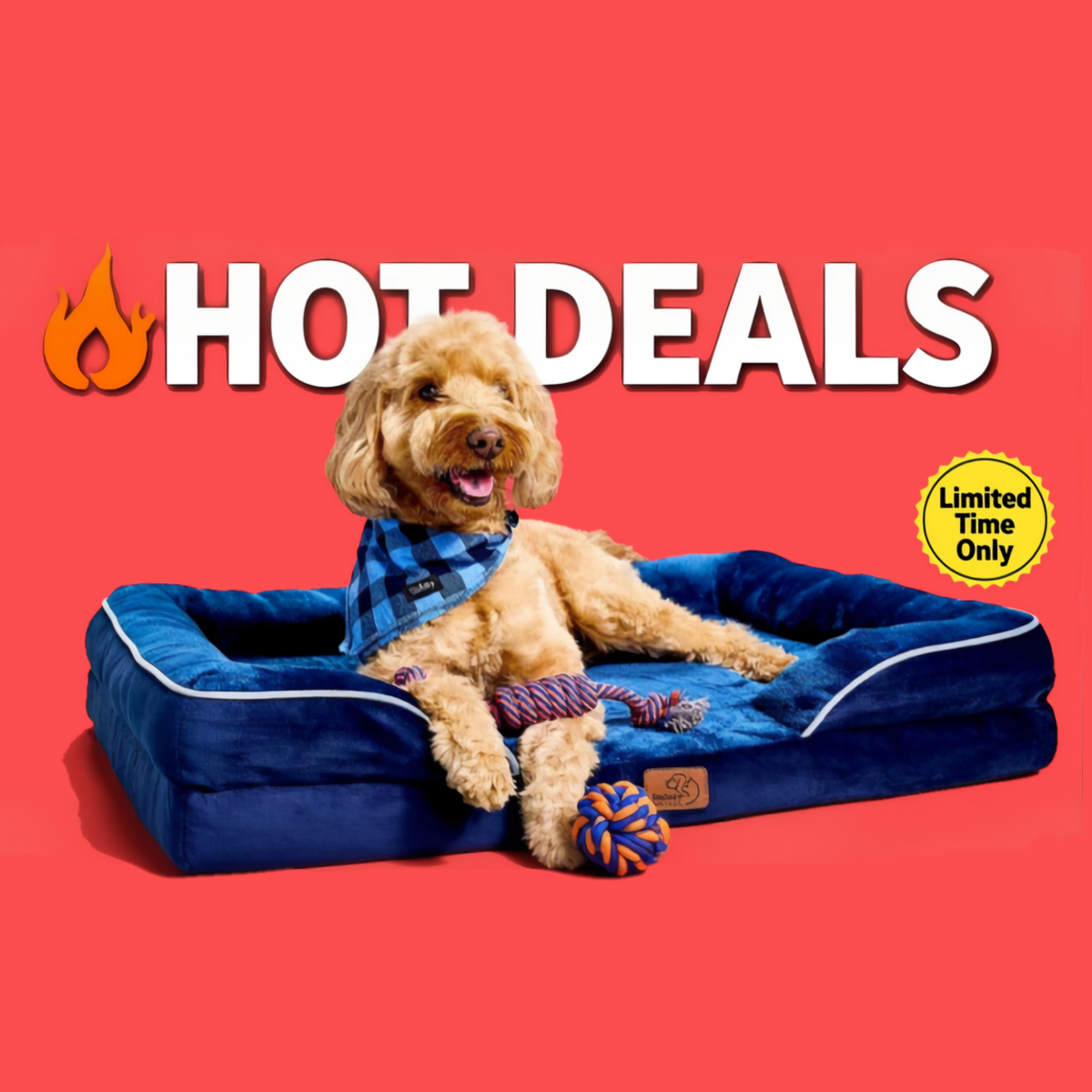 Hot Deals