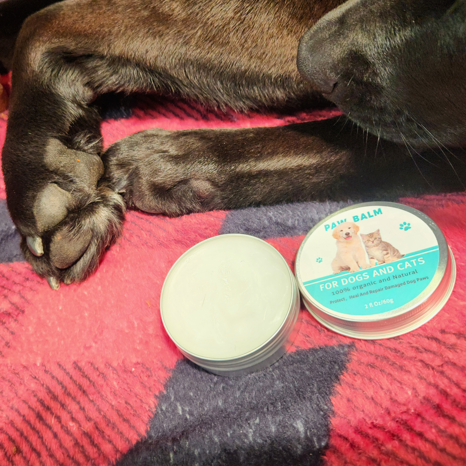 Baume réparateur naturel pour pattes de chiens et de chats 