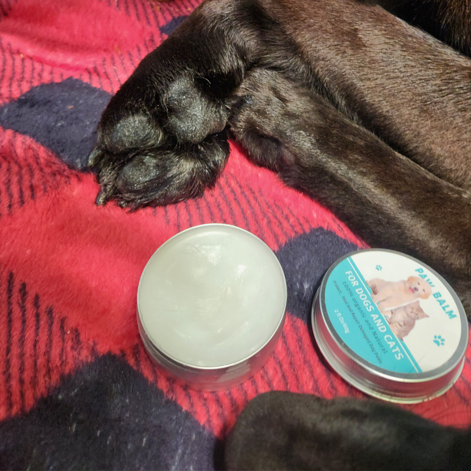 Baume réparateur naturel pour pattes de chiens et de chats 