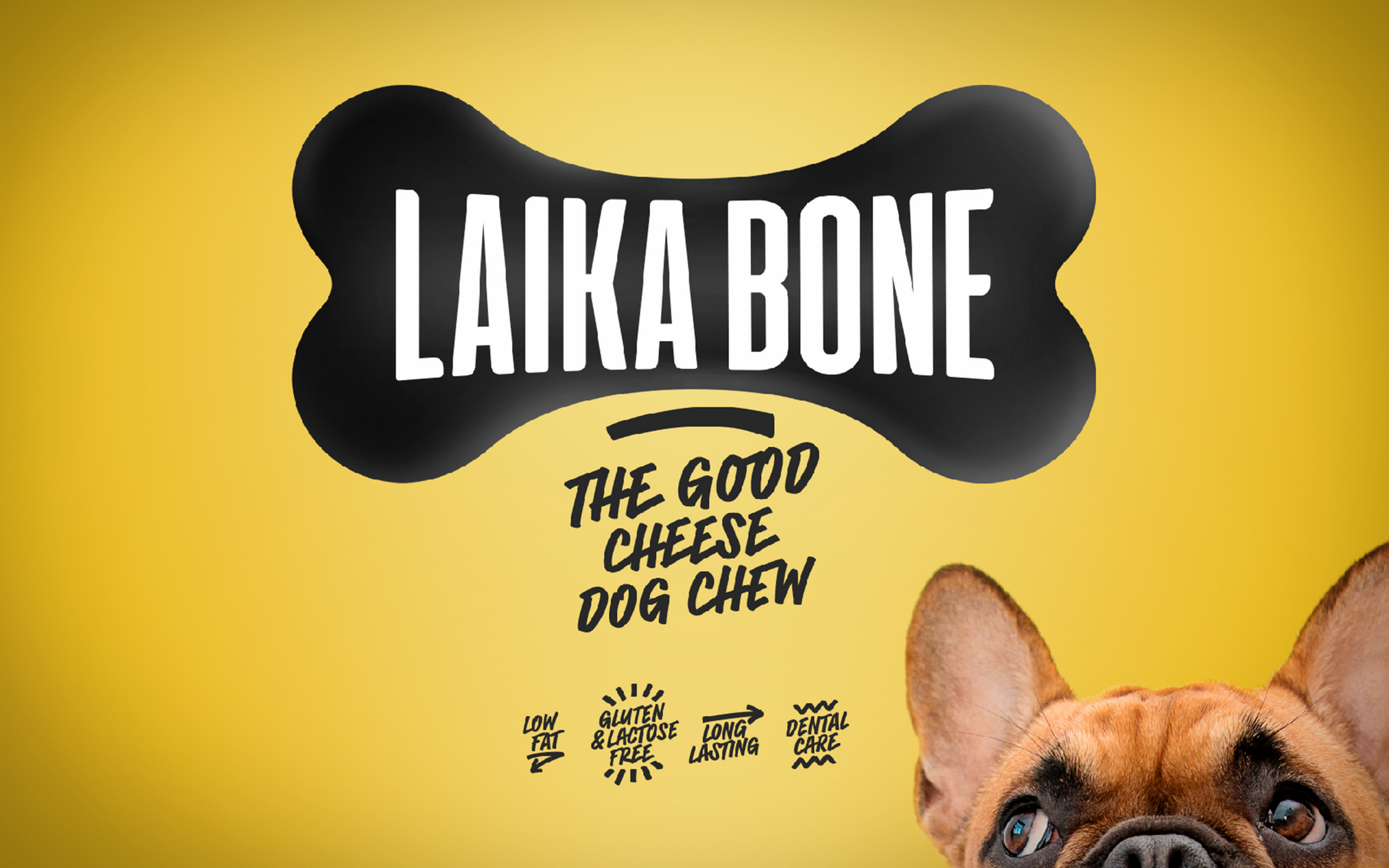 Friandises de qualité supérieure sans lactose au fromage et au canard (BOÎTE)