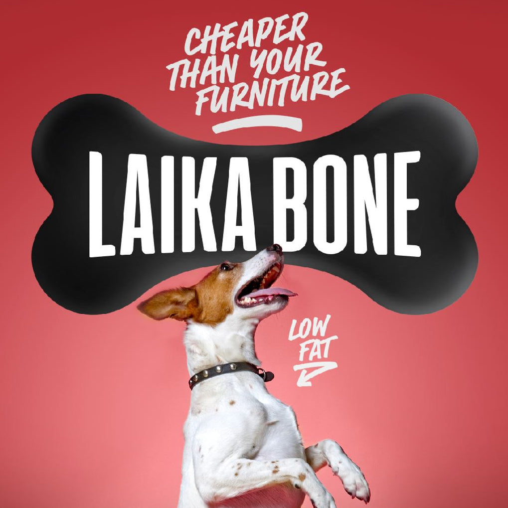 Friandises de qualité supérieure sans lactose au fromage et au jambon/bacon (BOÎTE)