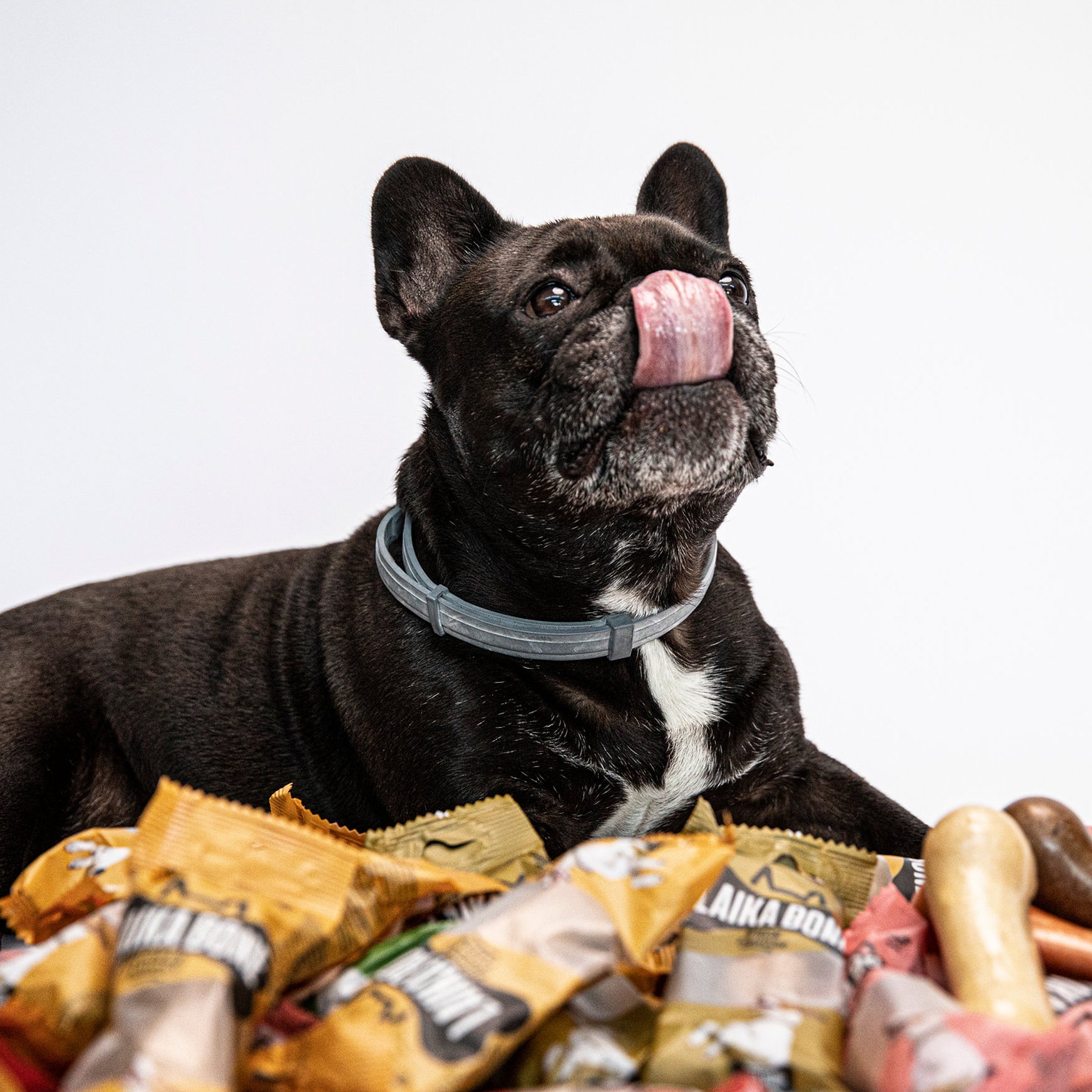 Friandises de qualité supérieure sans lactose au fromage et au poulet (BOÎTE) 