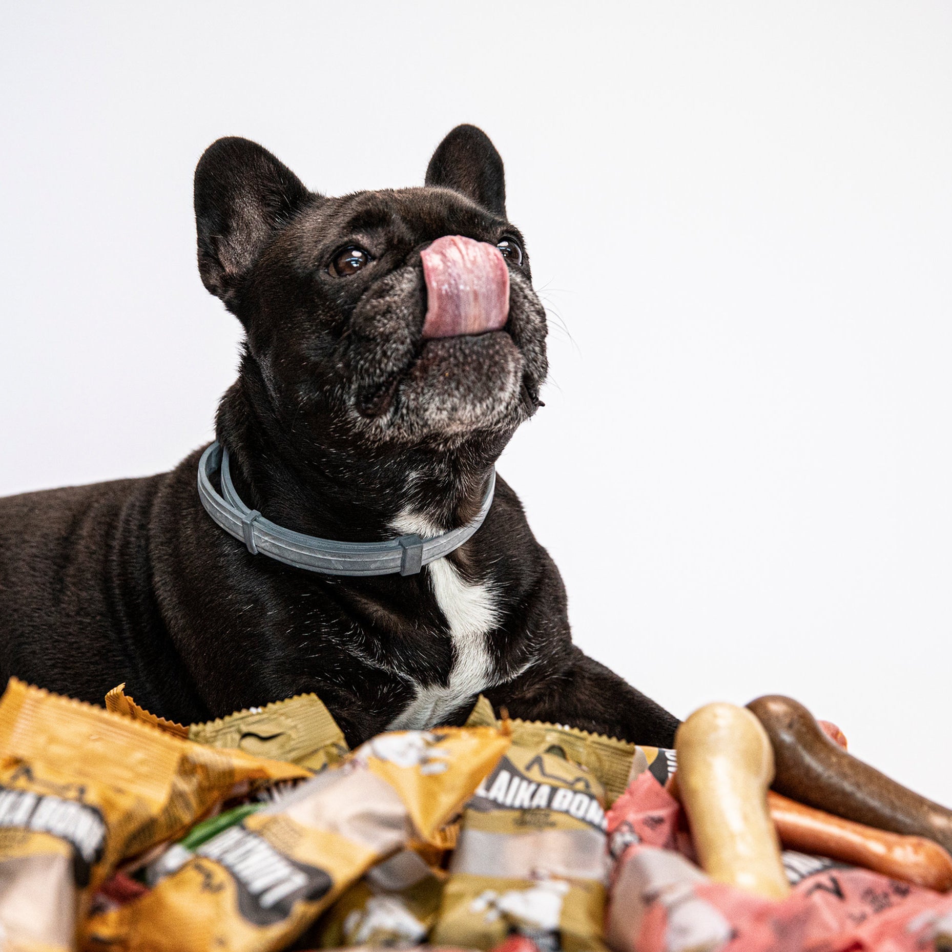 Friandises de qualité supérieure sans lactose au fromage et à l'agneau (BOÎTE)