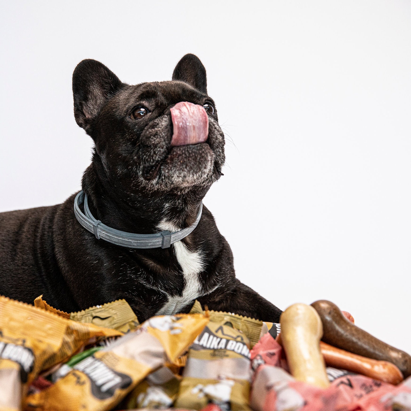 Friandises de qualité supérieure sans lactose au fromage et au jambon/bacon (BOÎTE)