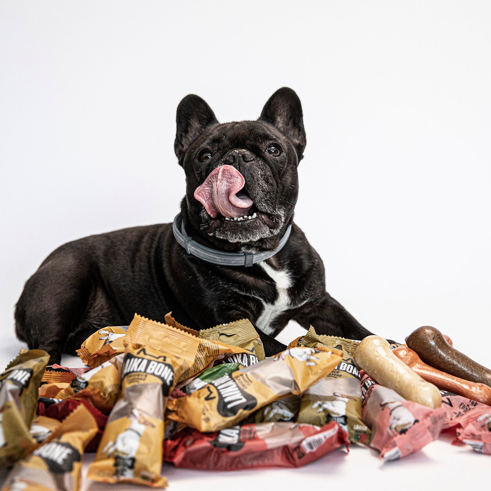 Friandises de qualité supérieure sans lactose au fromage et au bœuf (boîte)