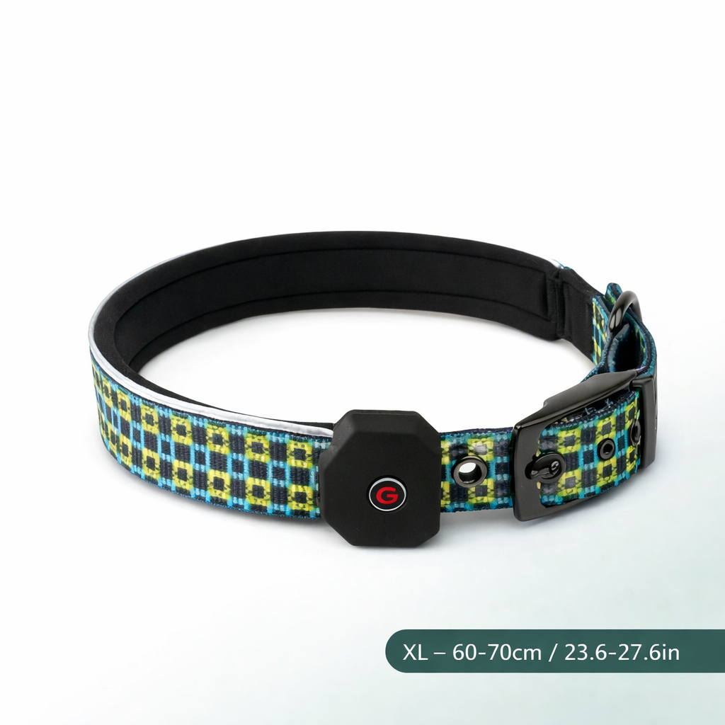 Collier pour chien SafeGlow USB 