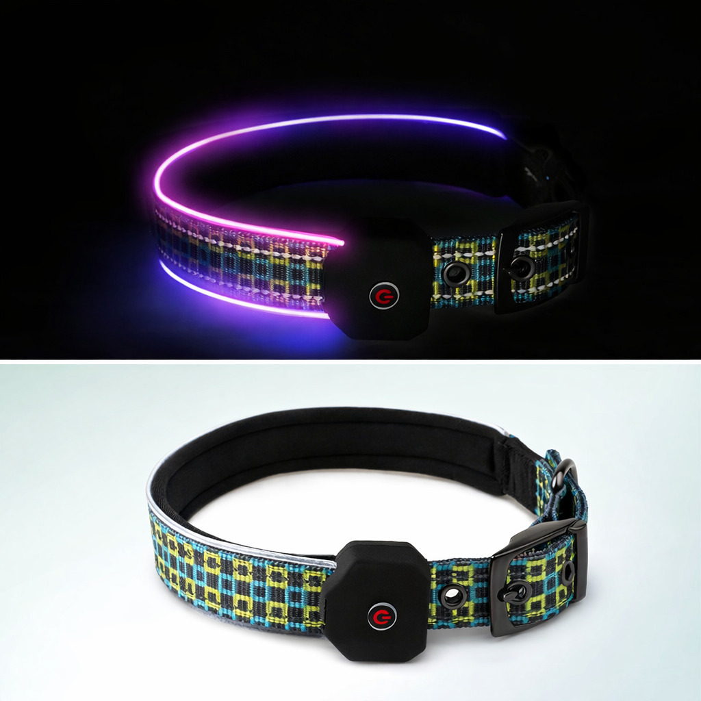 Collier pour chien SafeGlow USB 