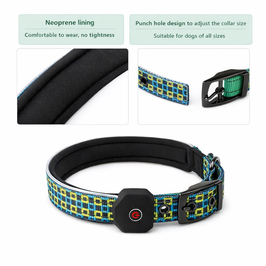 Collier pour chien SafeGlow USB 
