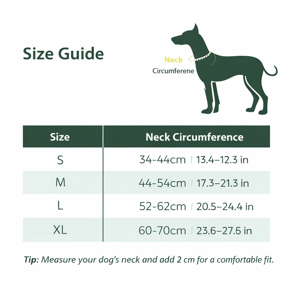 Collier pour chien SafeGlow USB 