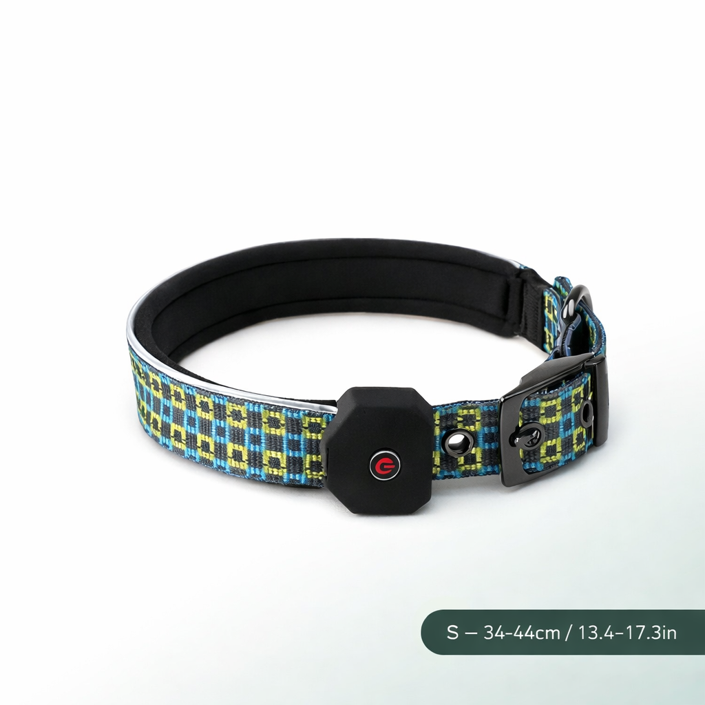 Collier pour chien SafeGlow USB 