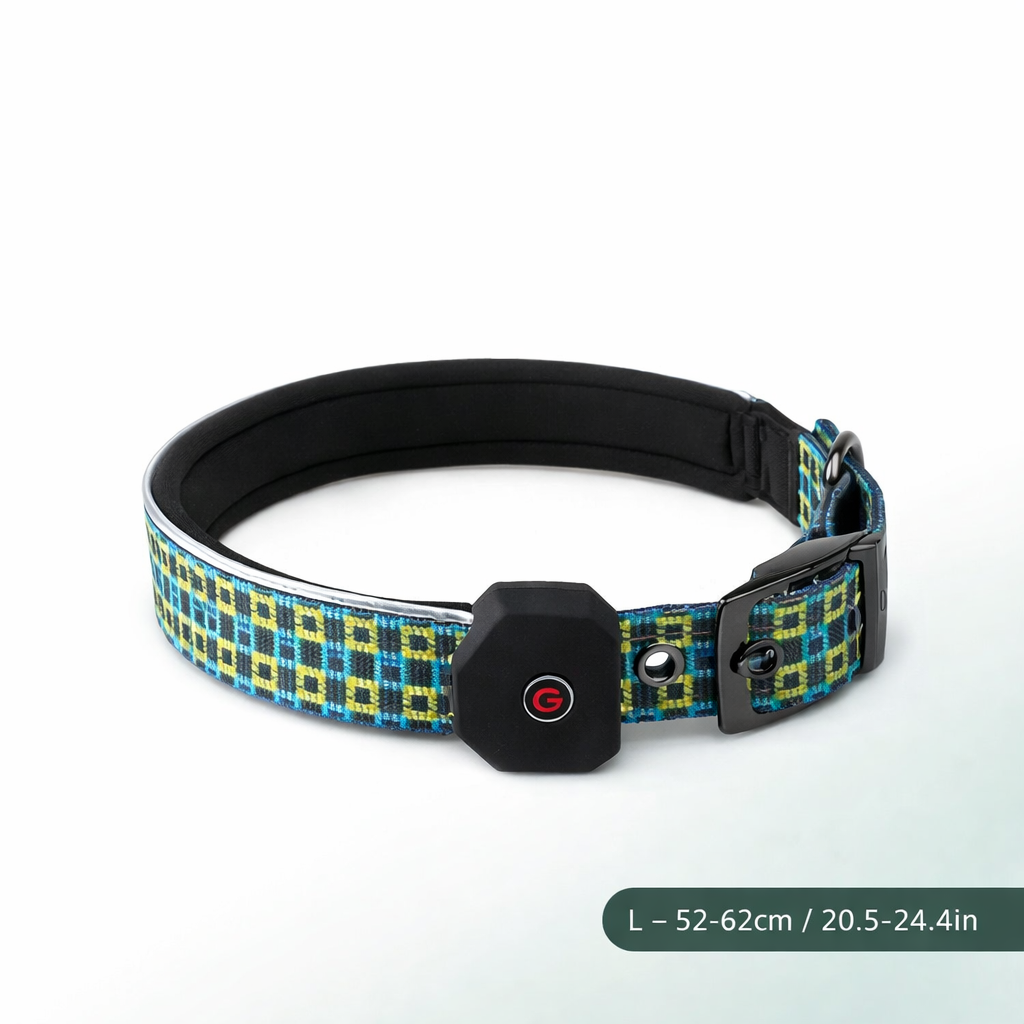 Collier pour chien SafeGlow USB 