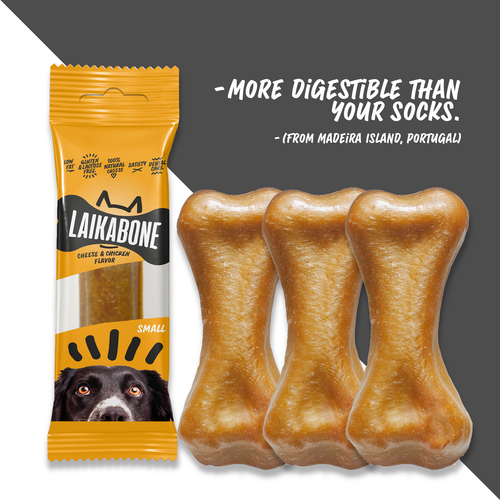 Friandises de qualité supérieure sans lactose au fromage et au poulet (BOÎTE) 