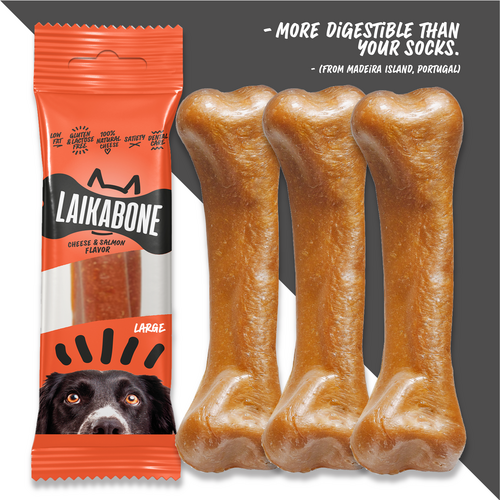 Friandises de qualité supérieure sans lactose au fromage et au saumon (BOÎTE)