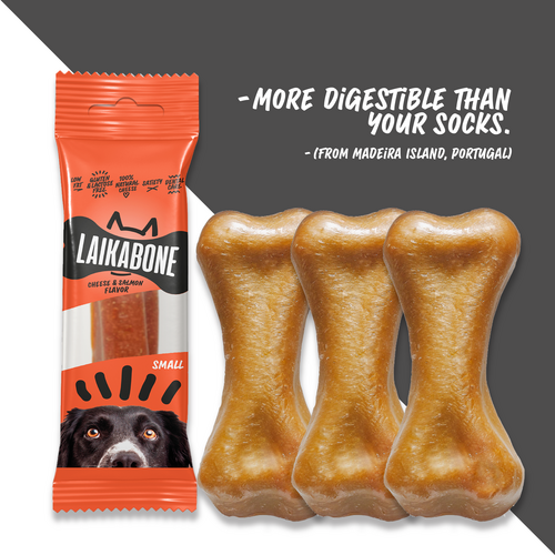 Friandises de qualité supérieure sans lactose au fromage et au saumon (BOÎTE)