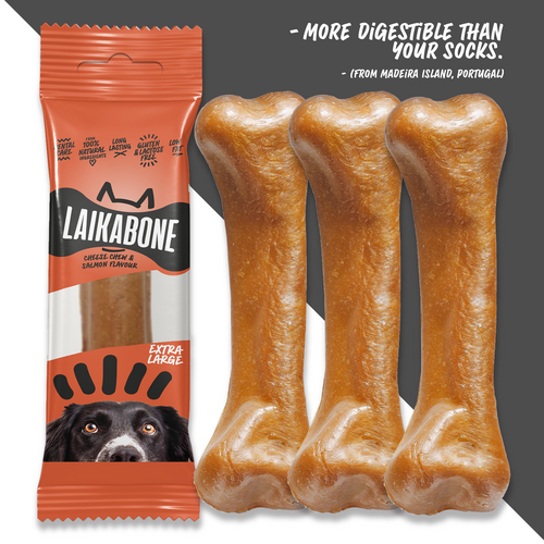 Friandises de qualité supérieure sans lactose au fromage et au saumon (BOÎTE)