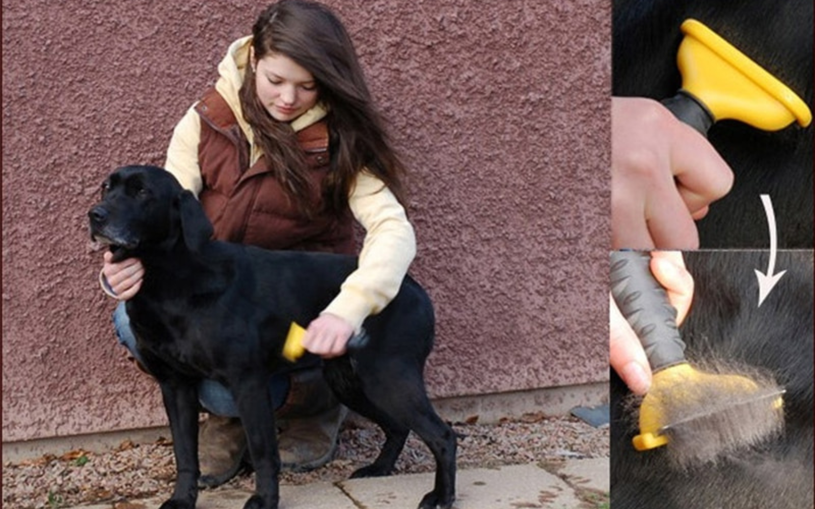 Brosse de démêlage professionnelle pour chiens et chats 