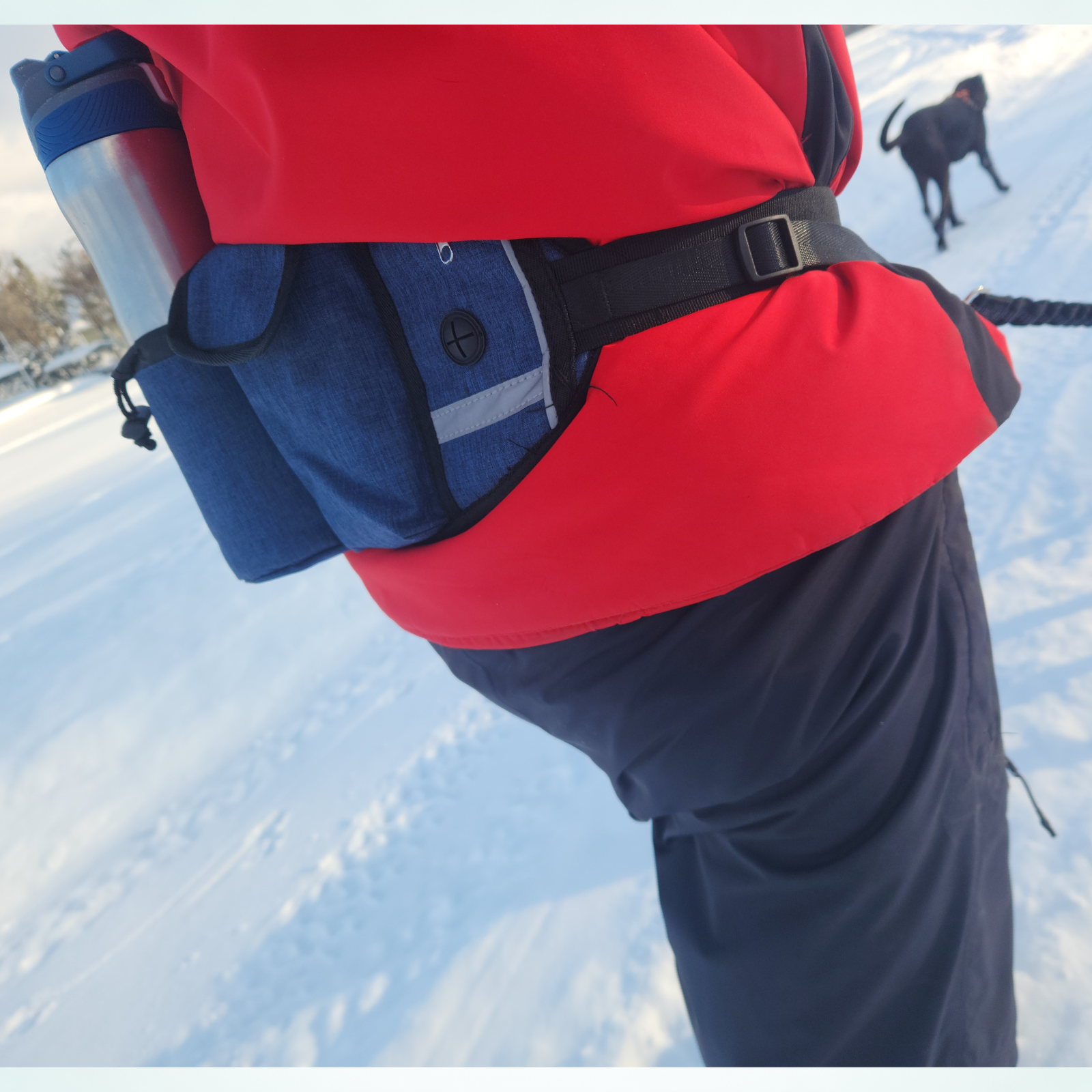 Sac banane tout-en-un pour promener et dresser son chien en mains libres 