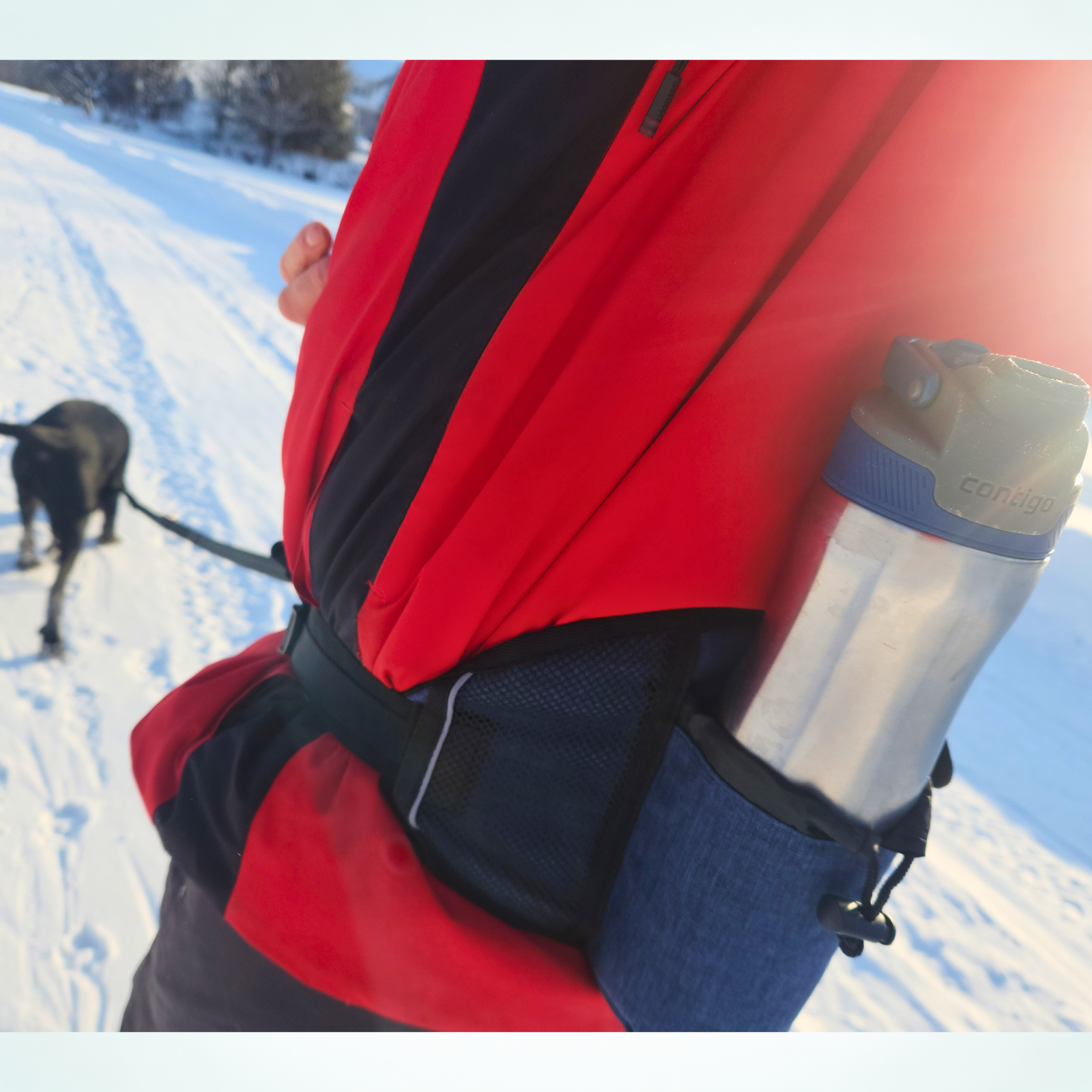 Sac banane tout-en-un pour promener et dresser son chien en mains libres 