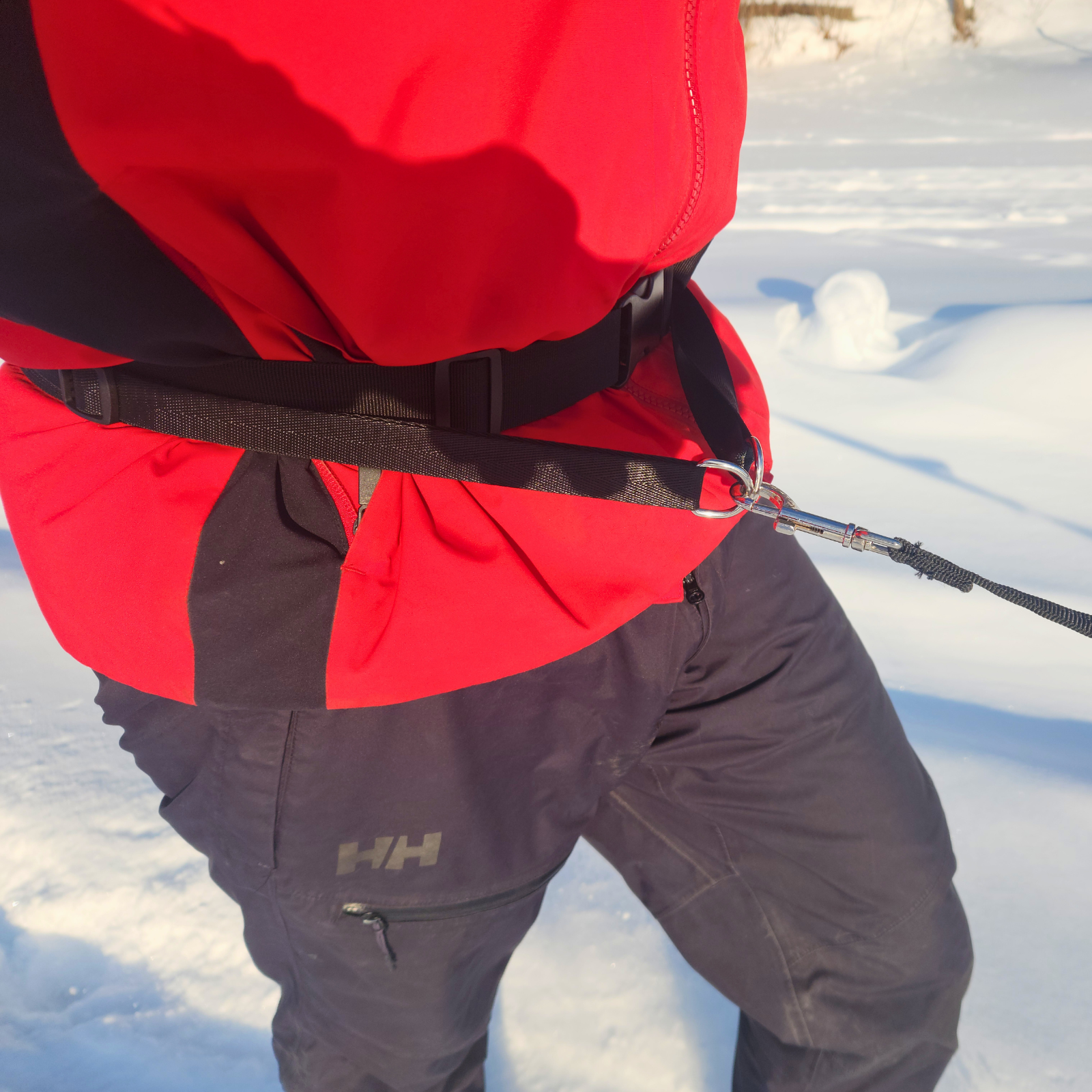 Sac banane tout-en-un pour promener et dresser son chien en mains libres 