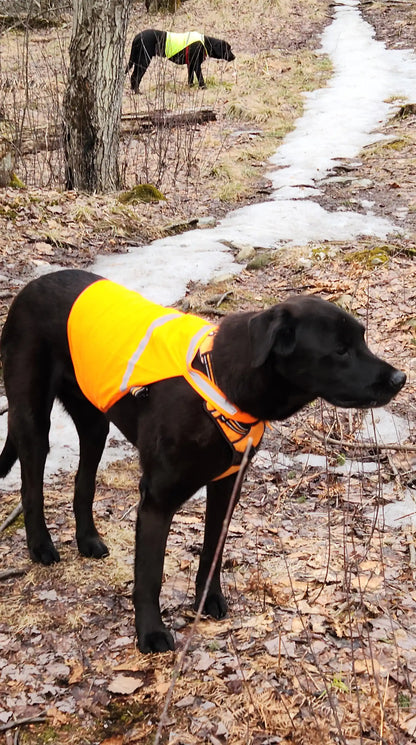 Gilet de sécurité réfléchissant pour chiens