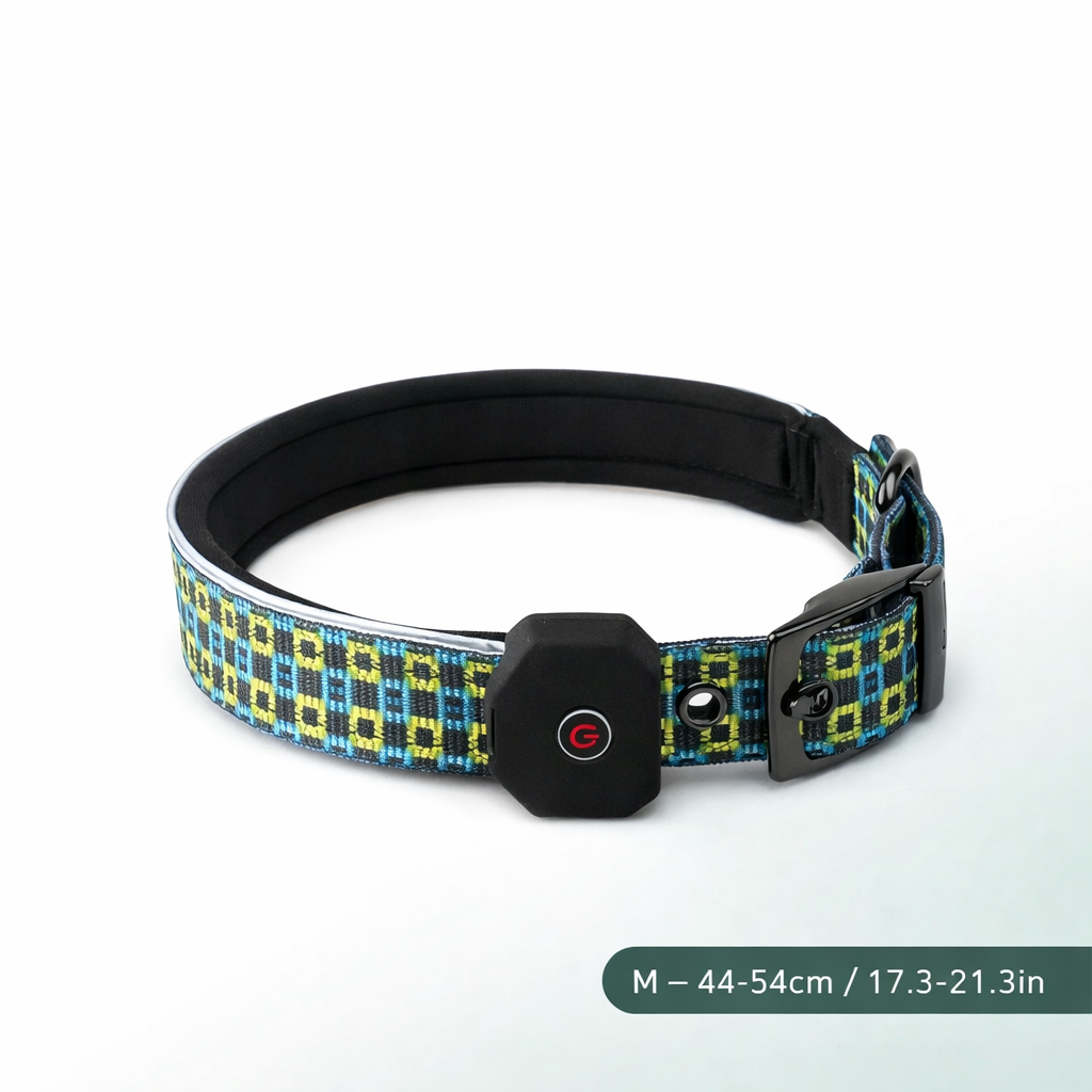 Collier pour chien SafeGlow USB 