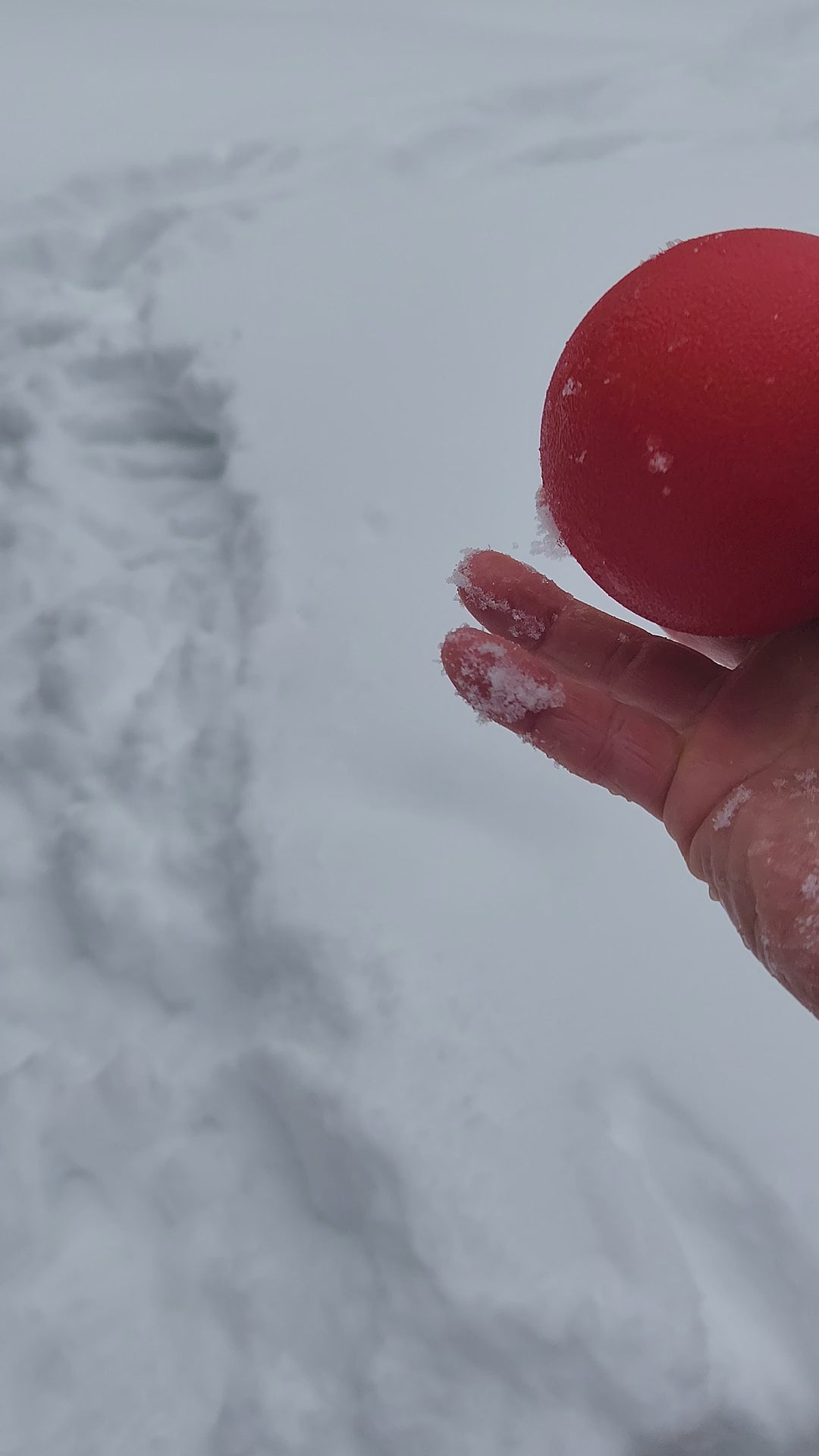 Balle pour chien en caoutchouc solide indestructible 