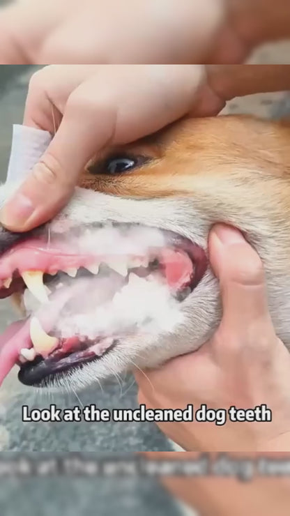Lingettes pour les dents des animaux 