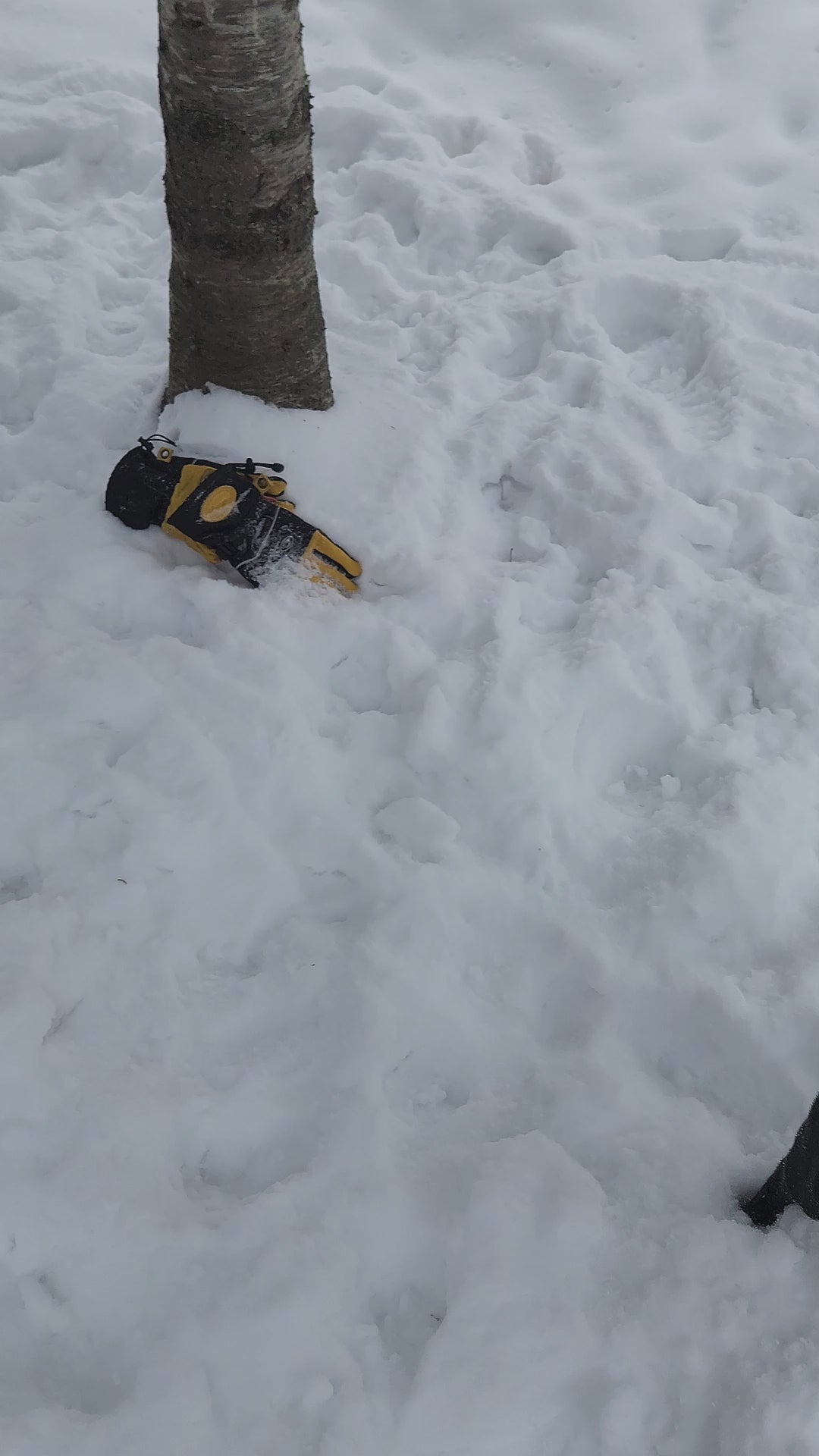 Balle pour chien en caoutchouc solide indestructible 