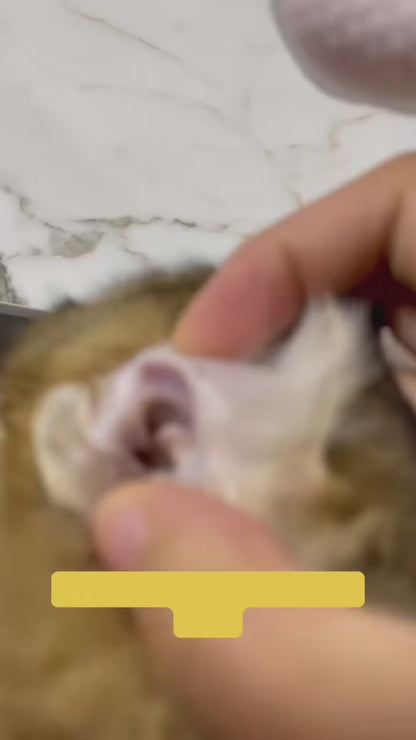 Lingettes auriculaires pour animaux de compagnie